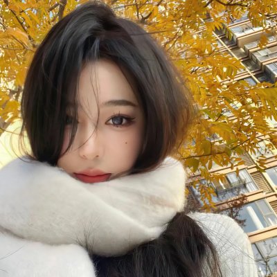 艾尔莎与弗雷德国语