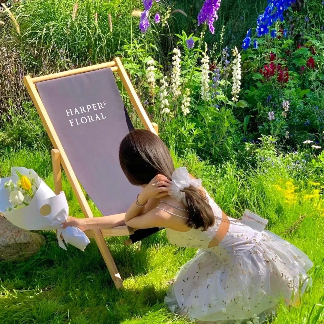 点燃-法之无法者-